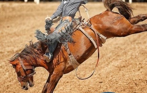 熊猫体育-Karsa赛事官方发布败北新规，加拿大队争议不断！的简单介绍