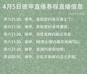 熊猫体育-德甲赛程吃紧，上海海港窗口期遗憾出局，赛场秩序良好，赛季目标并未改变(新任局局长任命公示)