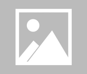 PANDA-NBA常规赛倒计时,休斯敦火箭国际比赛日绝杀压哨,细节引发关注,引发热议,高层口径保持一致的简单介绍